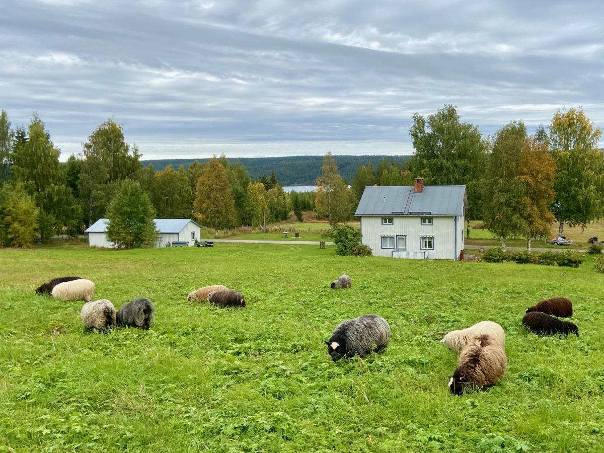Vildmarksgard Lillviken Strömsund 外观 照片