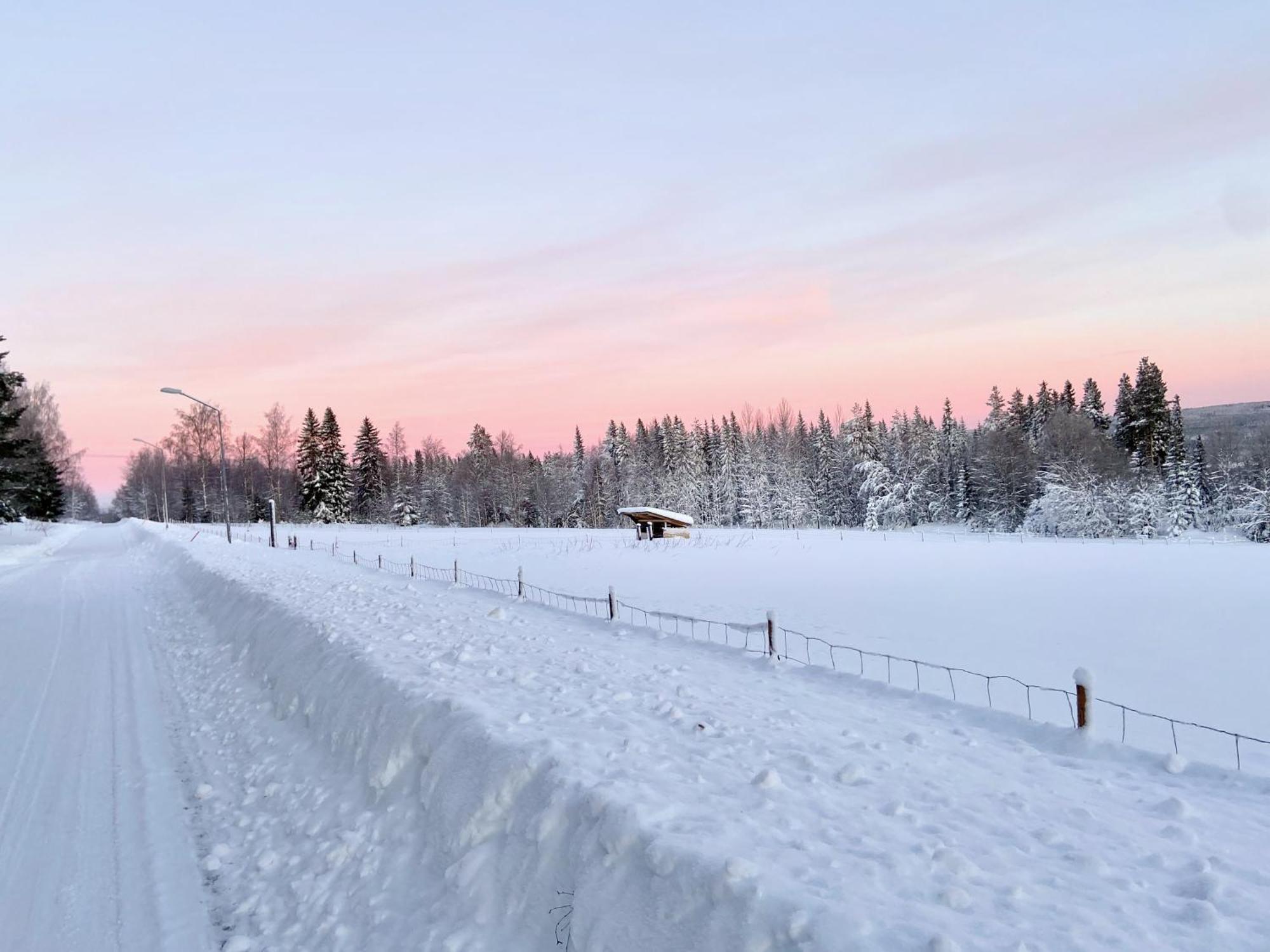 Vildmarksgard Lillviken Strömsund 外观 照片